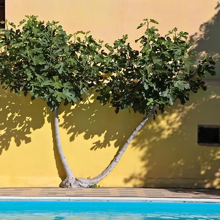 San Filis Hotel San Felice del Benaco